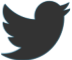Twitter (opens in new window)